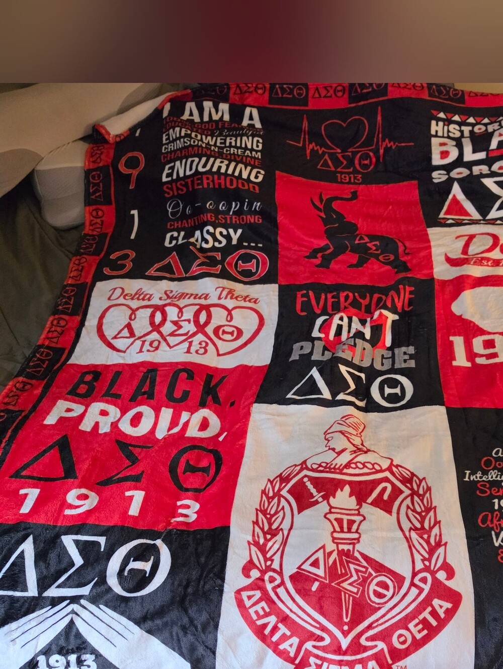 Red & Black Plush Throw Blanket